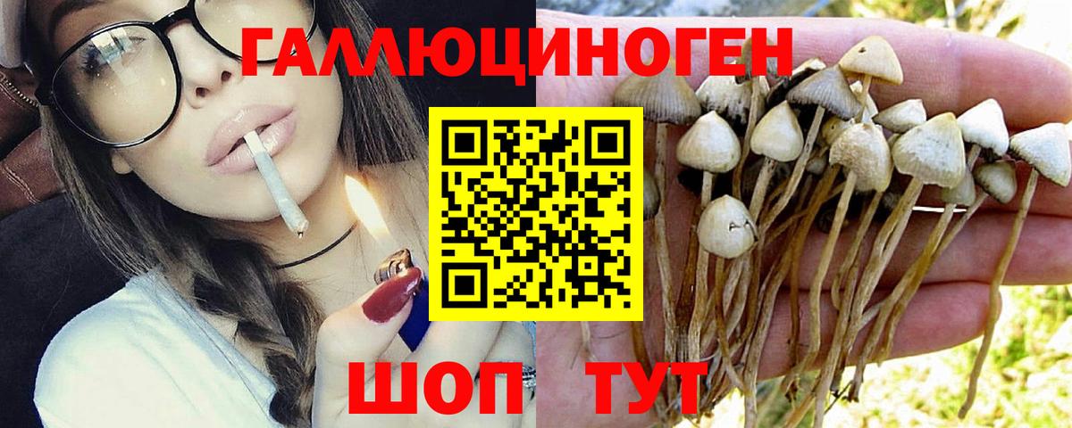 Галлюциногенные грибы прущие грибы Чайковский